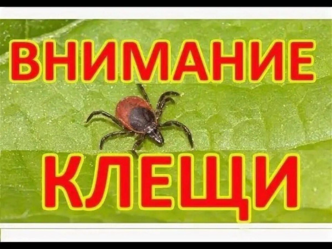 "Горячая линия" по вопросам профилактики клещевого энцефалита "Горячая линия" по вопросам профилактики клещевого энцефалита.